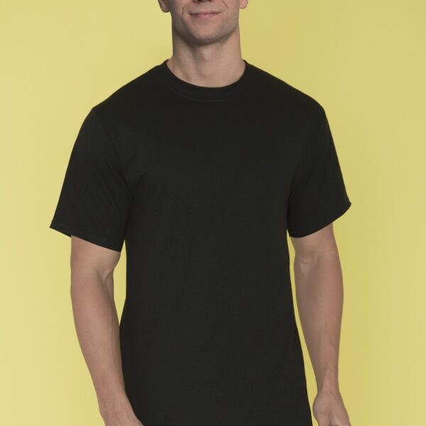 ATC™ Everyday Collection® ATC EVERYDAY COTTON TALL TEE ATC1000T ATC EVERYDAY COTTON TALL TEE Thumbnail